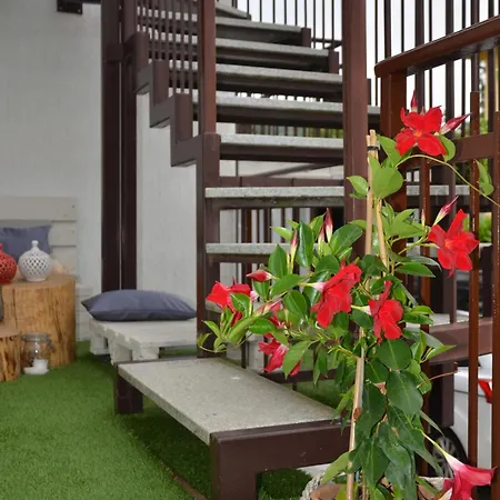 Casa Framama Guest house